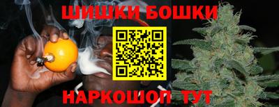 крисы Татарск