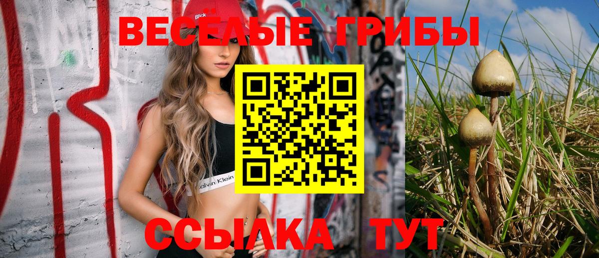 Псилоцибиновые грибы GOLDEN TEACHER Ялуторовск