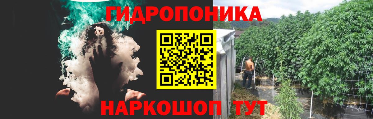 Бошки марихуана марихуана  МАРИХУАНА гибрид  Ялуторовск  Вход с VPN  Бошки Шишки конопля 